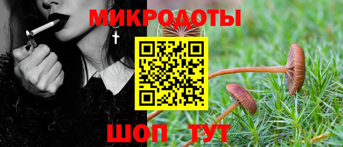 Псилоцибиновые грибы прущие грибы Дедовск