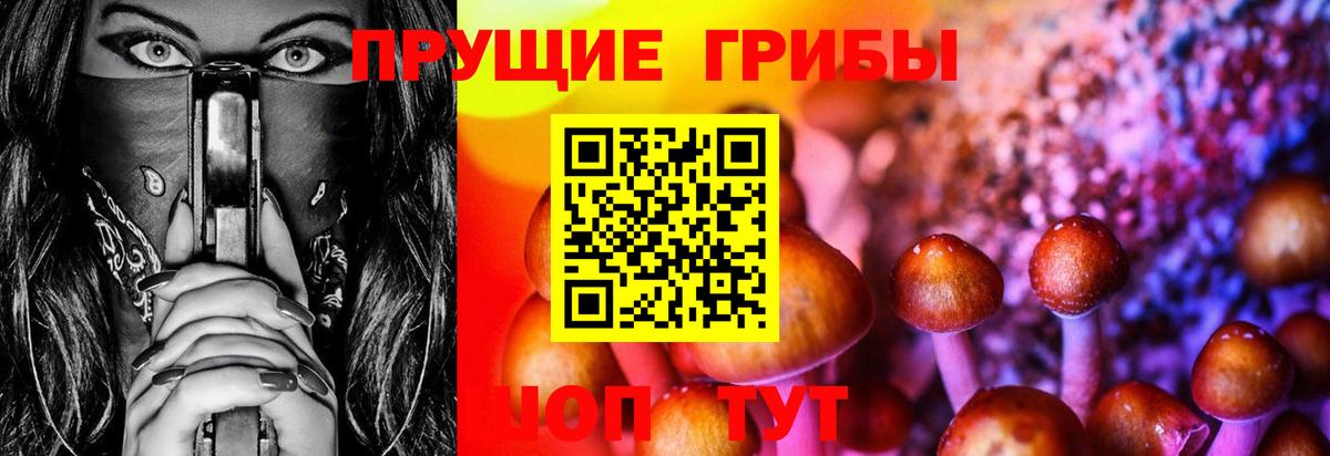 Дедовск  Галлюциногенные грибы мицелий  даркнет сайт  Вход с VPN 